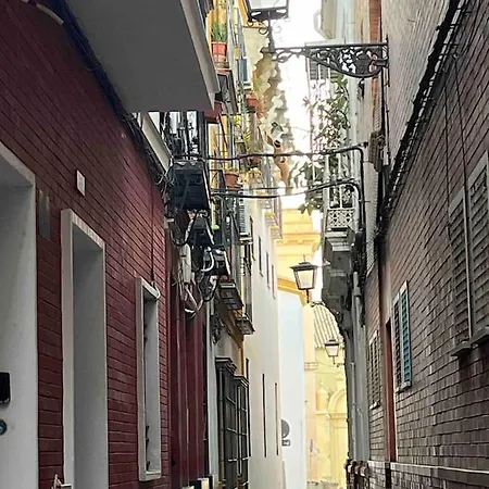 Encantador Exclusivo Centrico Seville