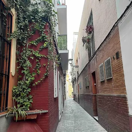 Encantador Exclusivo Centrico Apartment Seville